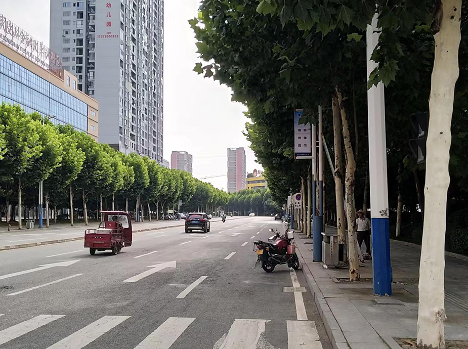 創(chuàng)文明城市燈桿旗